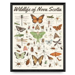 Wildlife of Nova Scotia - Insects 16x20 Print By Midnight