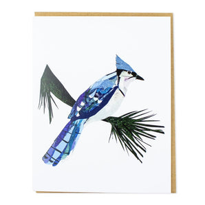 Blue Jay Card By A. K. Doak