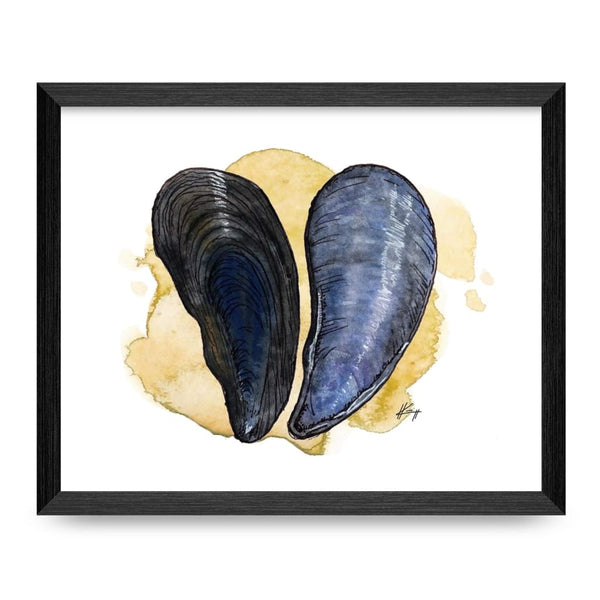 Blue Mussel Shell 8x10 Print By Nereid Art