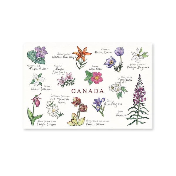 Canadian Floral Emblems Postcard By Gotamago