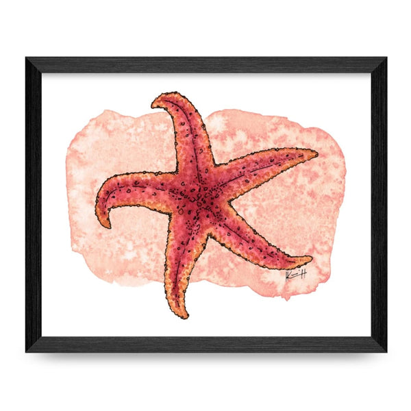 Common Sea Star 8x10 Print By Nereid Art