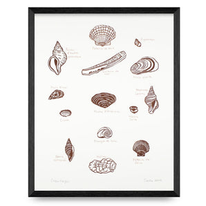 Coquillages 12x15 Block Print By Sang d’Encre