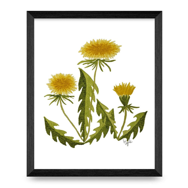 Dandelions Top Shelf 8x10 Print By Designs
