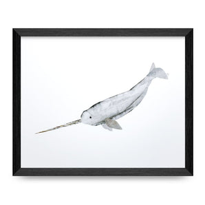 Grey Narwhal Collage 11x8.5 Print By A. K. Doak