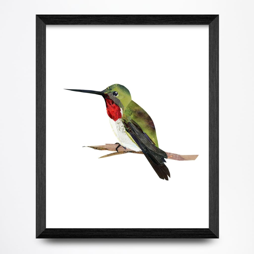 Hummingbird Collage 8.5x11 Print By A. K. Doak