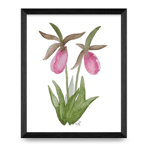 Lady Slippers Top Shelf 8x10 Print By Designs