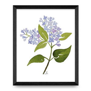 Lilacs Top Shelf 8x10 Print By Designs