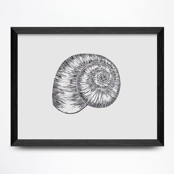 Moonsnail 8x6 Print By Fine Art Erin Hollingshead