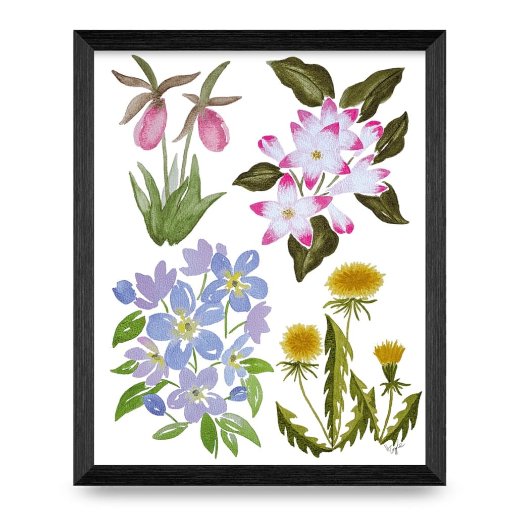 Nova Scotia Wildflowers Top Shelf 8x10 Print By Designs