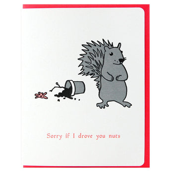 Nuts Squirrel Sorry Card By Dogwood Letterpress