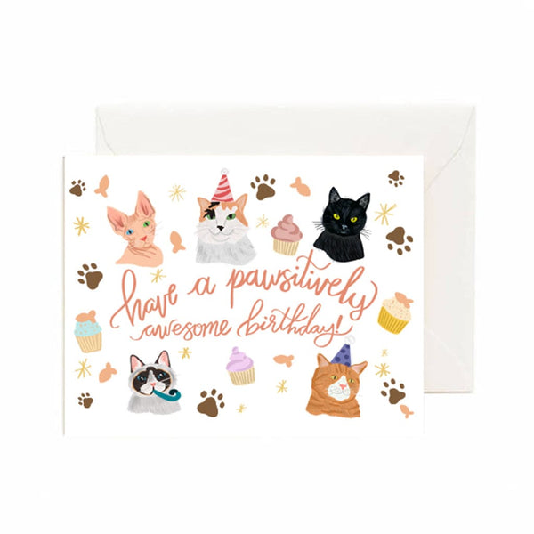 Pawsitively Awesome Cat Bday Card By Jaybee Design