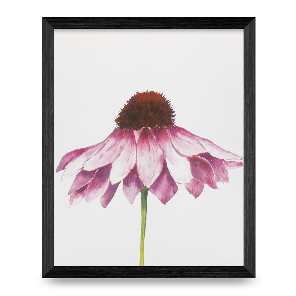Pink Echinacea 8x10 Print By Blooming Writes Art