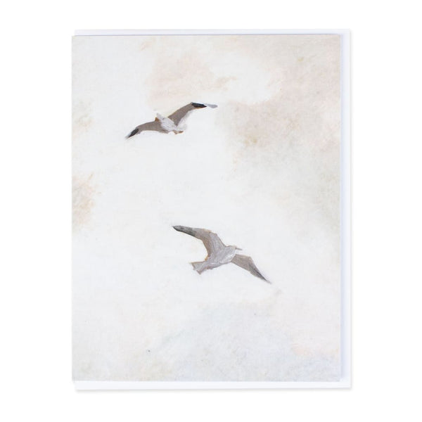 Seabirds Card By Briana Corr Scott