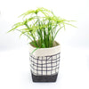 Tile Keephouse Fabric Bucket By Studio