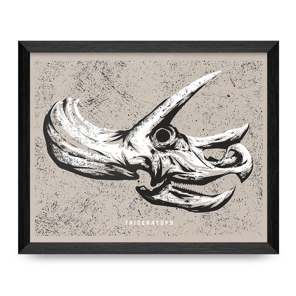 Triceratops Skull 11x14 Print By Fabled Creative