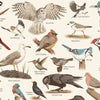 Wildlife of Nova Scotia - Birds 16x20 Print By Midnight Oil