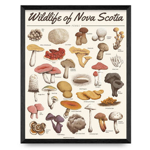 Wildlife of Nova Scotia - Fungi 16x20 Print By Midnight Oil